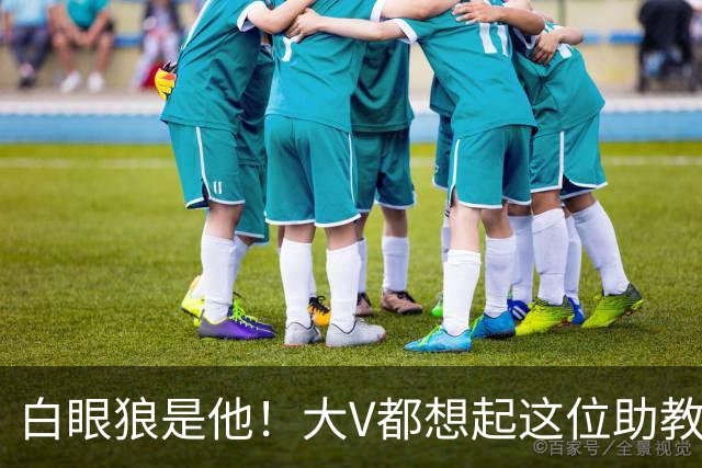 白眼狼是他！大V都想起这位助教 把鲁能告上法庭